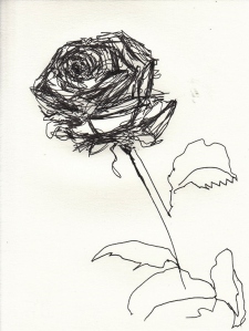 Rose 164
