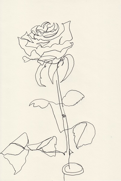 Rose Nr. 602